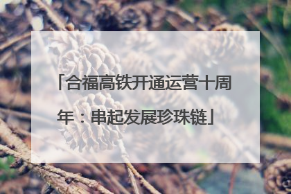 合福高铁开通运营十周年：串起发展珍珠链